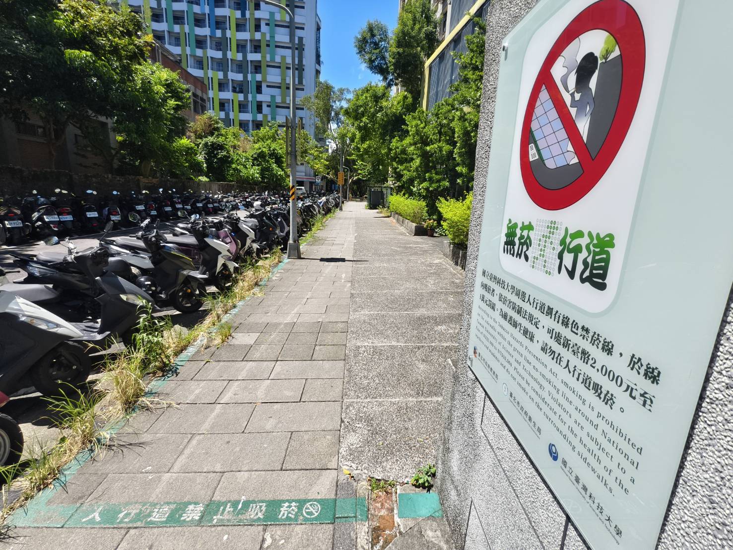 國際會館無菸人行道